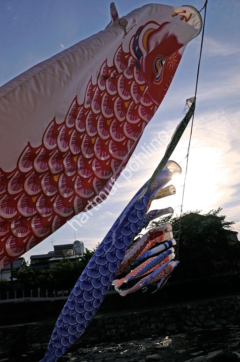 JAPAN-TRADITION-KOINOBORI-TAKAYAMA03