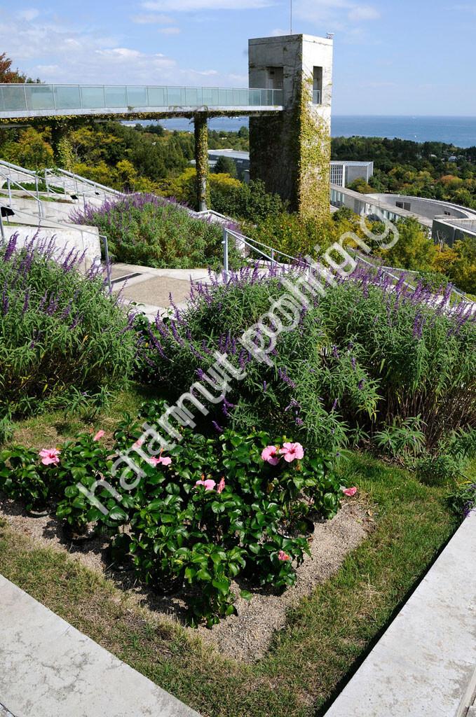 ANDO-TADAO-AWAJI-YUMEBUTAI-OBSERVATION-TERRACE13
