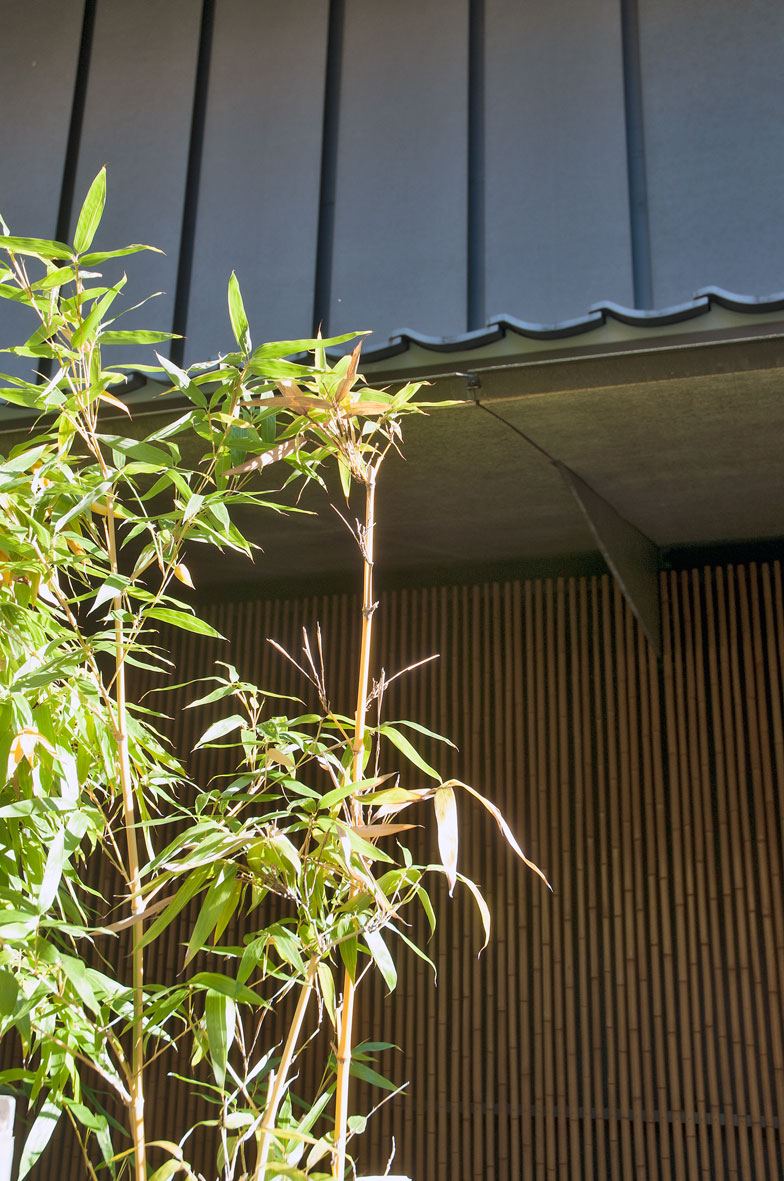 KUMA-KENGO-NEZU-MUSEUM06