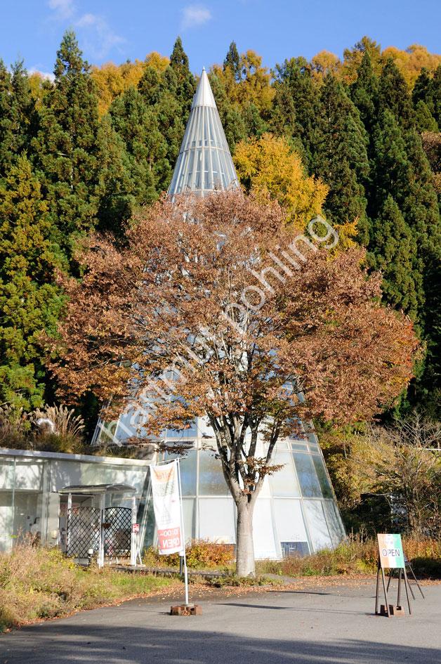 KUROKAWA-KISHO-SHIGA-KOGEN-ROMAN-ART-MUSEUM11