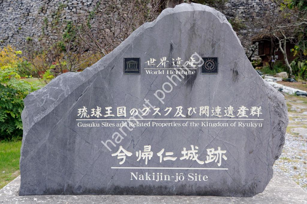 NAKIJIN-JOU08