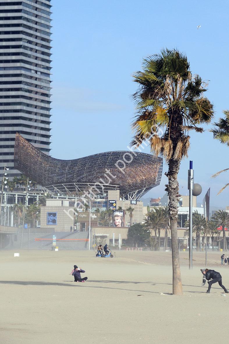 GEHRY-FRANK-EL-PEIX-BARCELONA03
