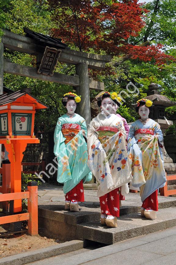 JAPAN-IMAGE-MAIKO25