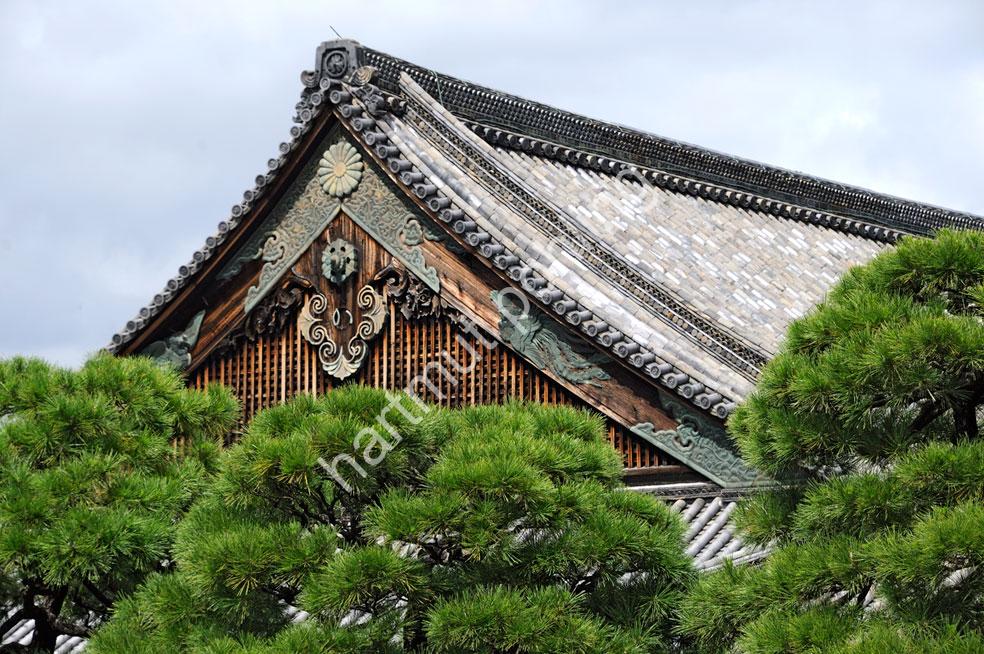 JAPANESE-CASTLE-NIJO-JOU03