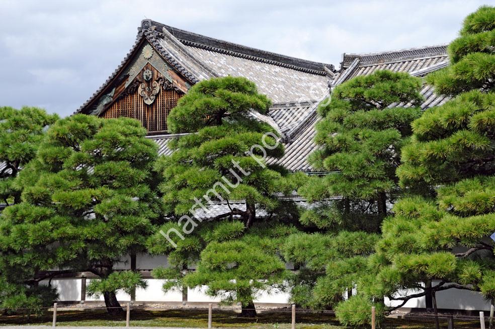 JAPANESE-CASTLE-NIJO-JOU04