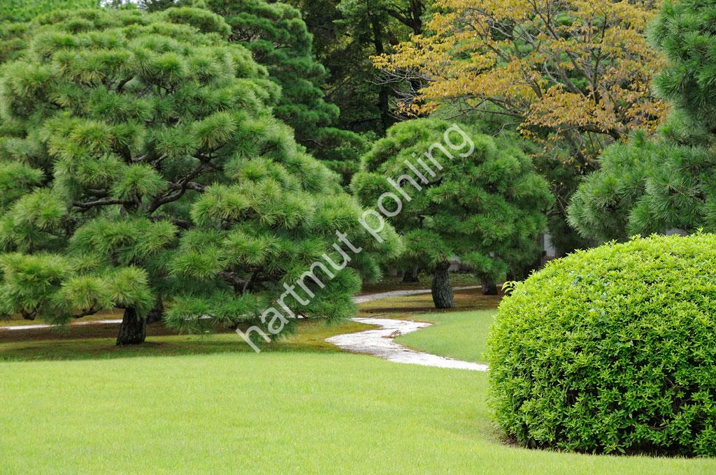 JAPANESE-CASTLE-NIJO-JOU14