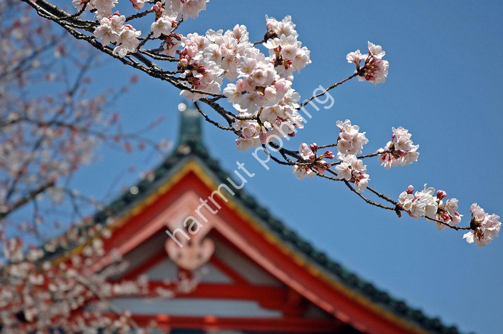 JAPANESE-SHRINE-HEIAN-JINGU-06