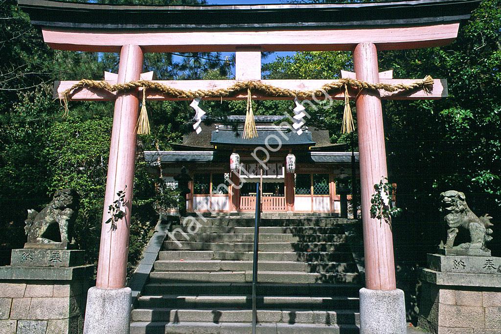 JAPANESE-SHRINE-UJIGAMI-JINJA