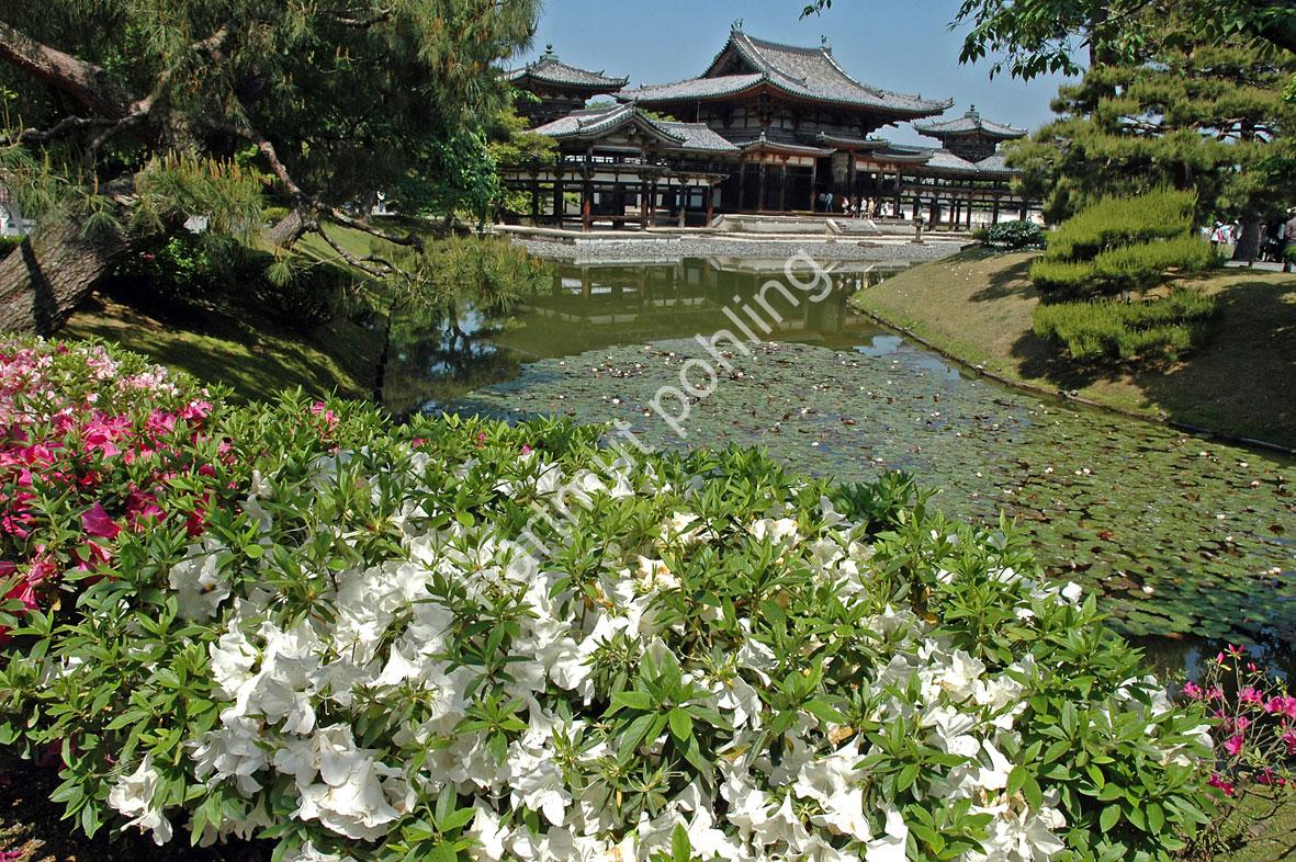 JAPANESE-TEMPLE-BYODO-IN05