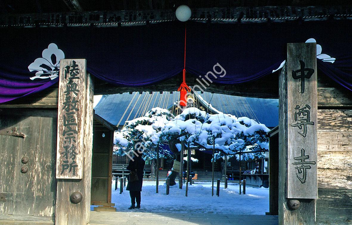 JAPANESE-TEMPLE-CHUSON-JI03