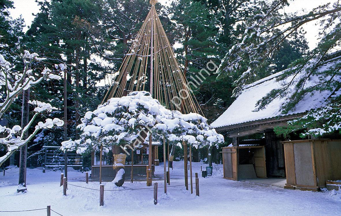 JAPANESE-TEMPLE-CHUSON-JI07