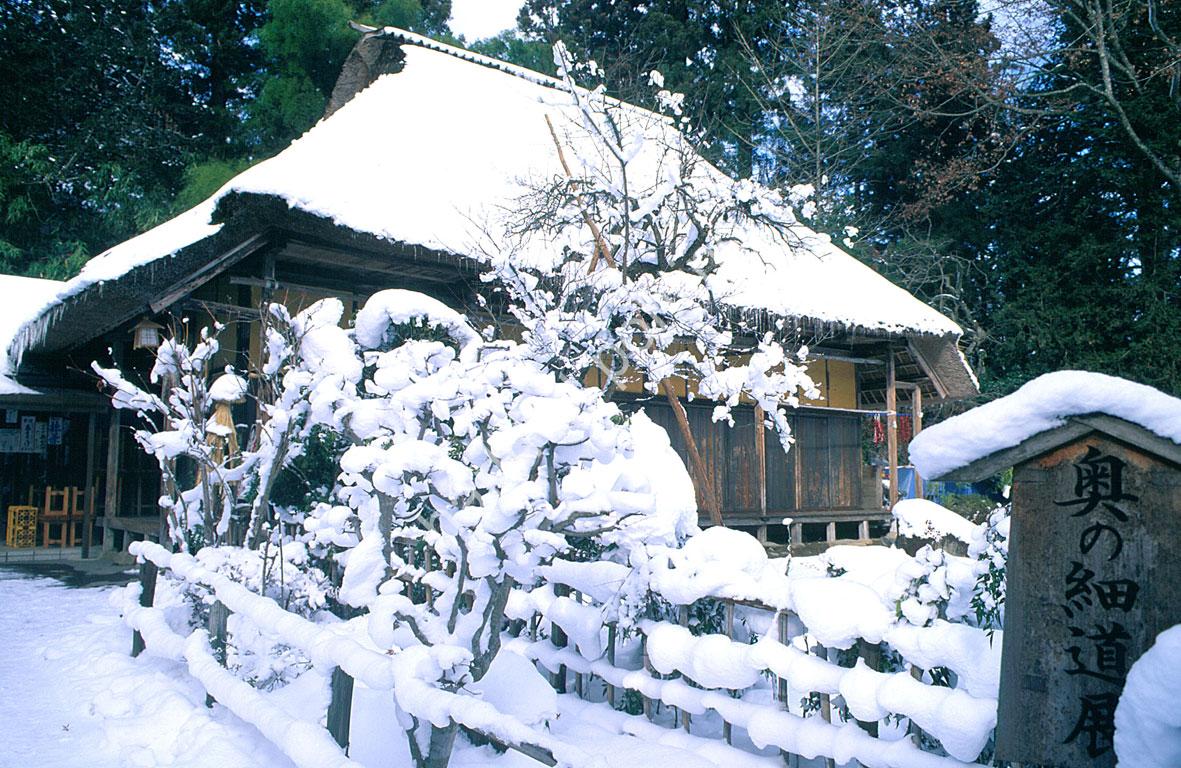 JAPANESE-TEMPLE-CHUSON-JI10