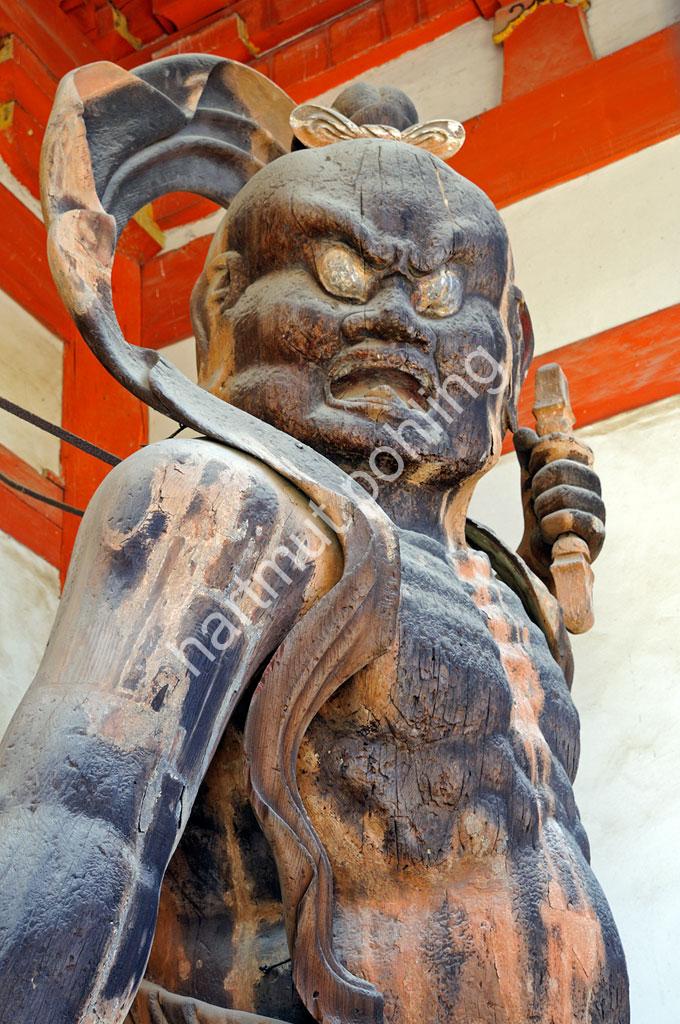 JAPANESE-TEMPLE-DAIGO-JI-NIO01