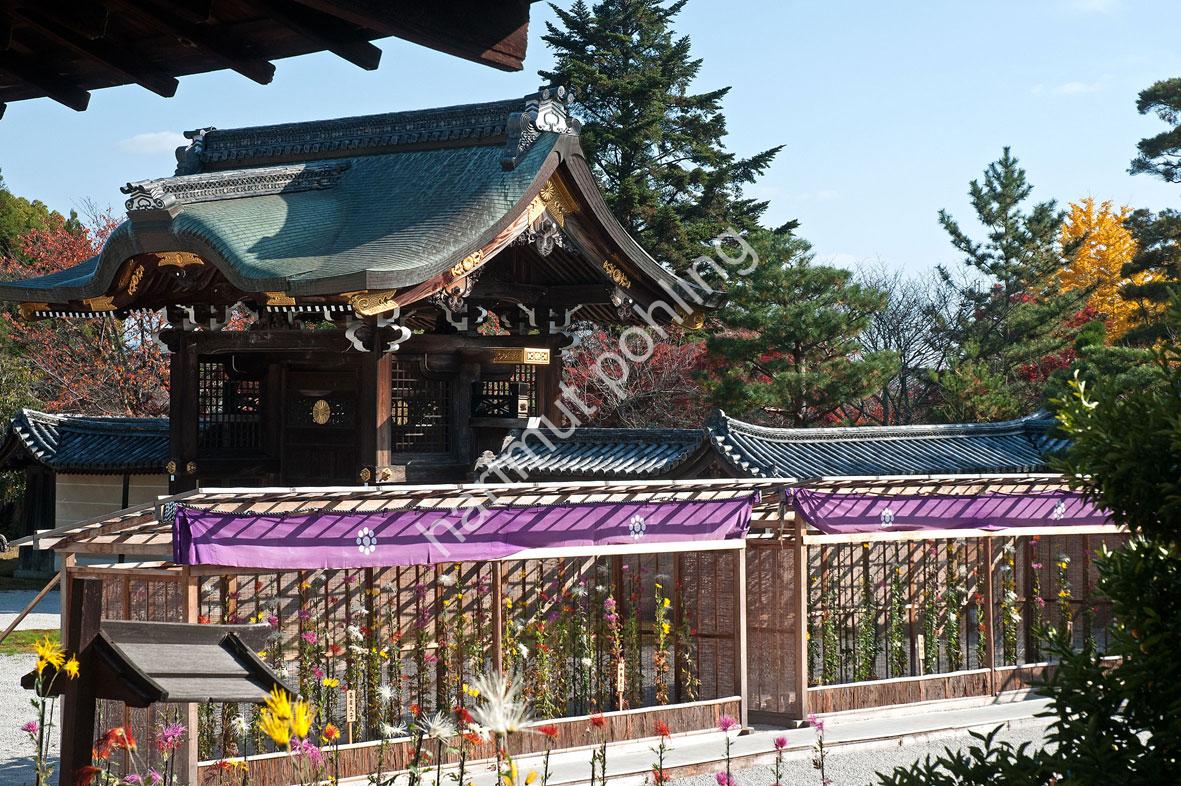 JAPANESE-TEMPLE-DAIKAKU-JI07