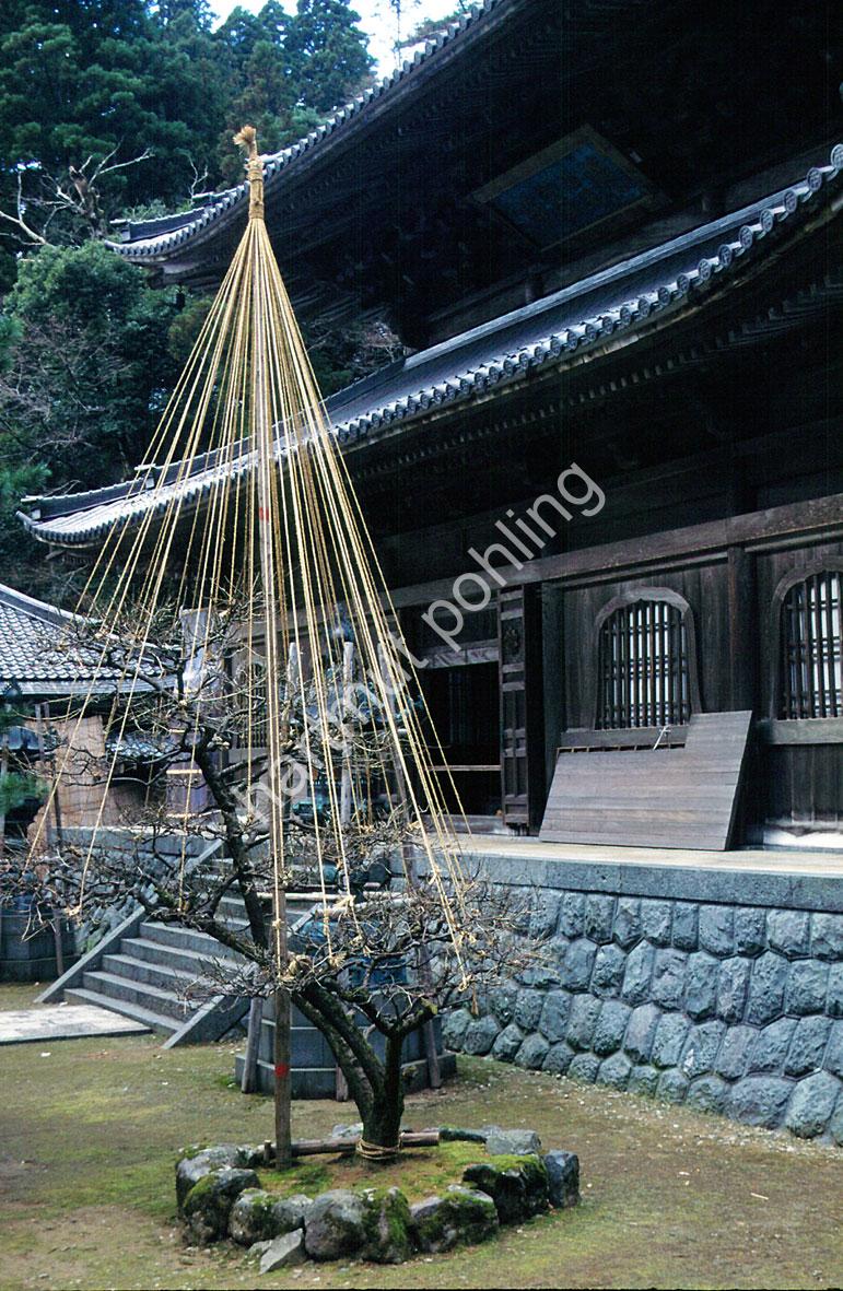 JAPANESE-TEMPLE-EIHEI-JI02