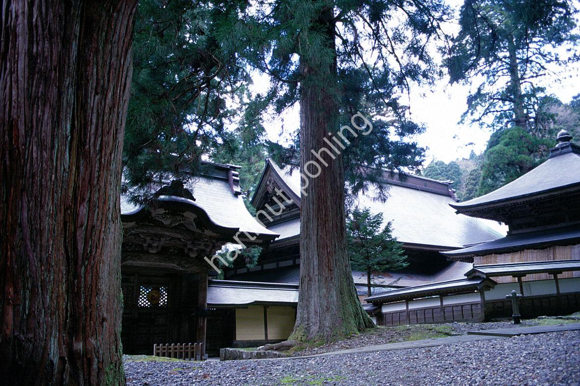 JAPANESE-TEMPLE-EIHEI-JI06