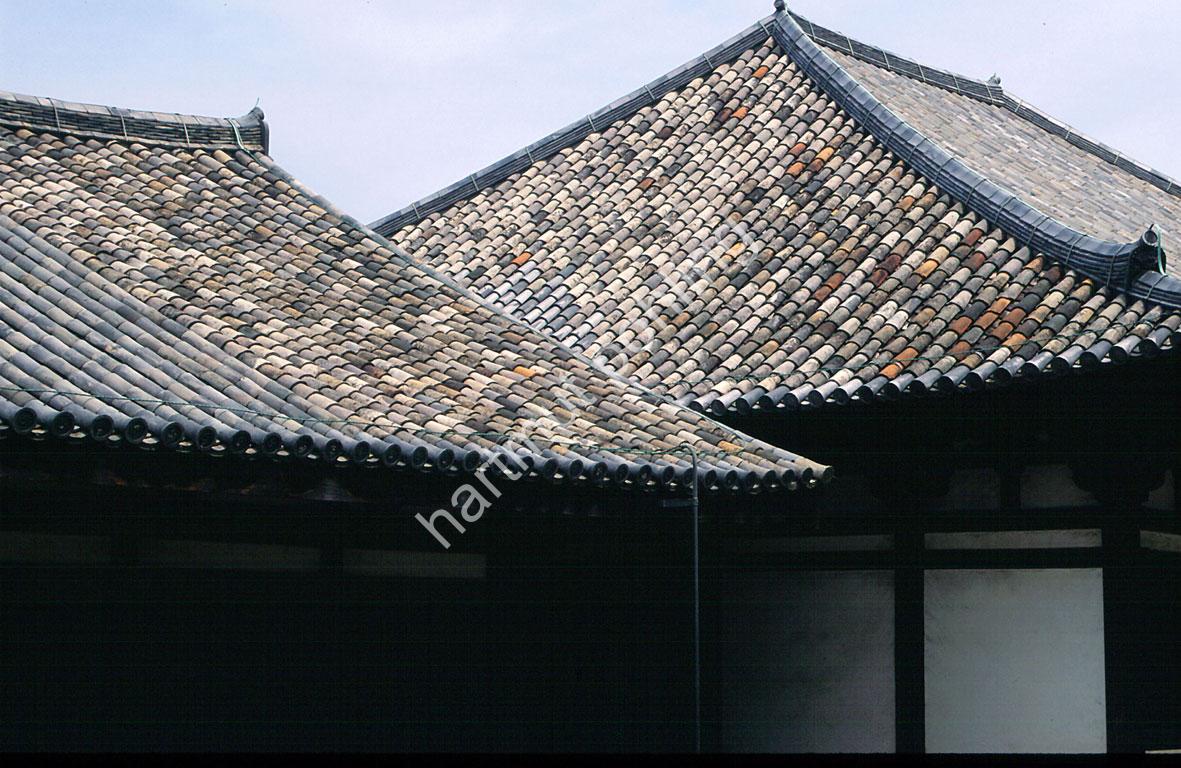 JAPANESE-TEMPLE-GANGO-JI06