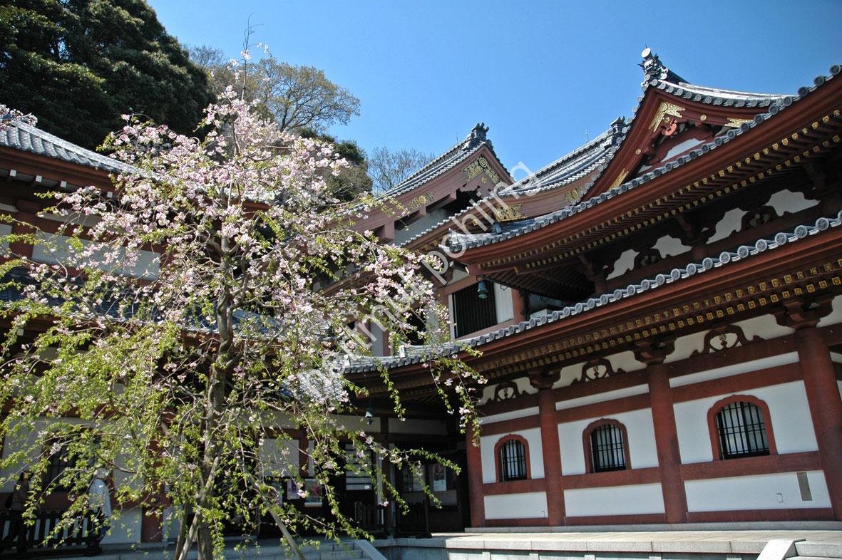 JAPANESE-TEMPLE-HASE-DERA