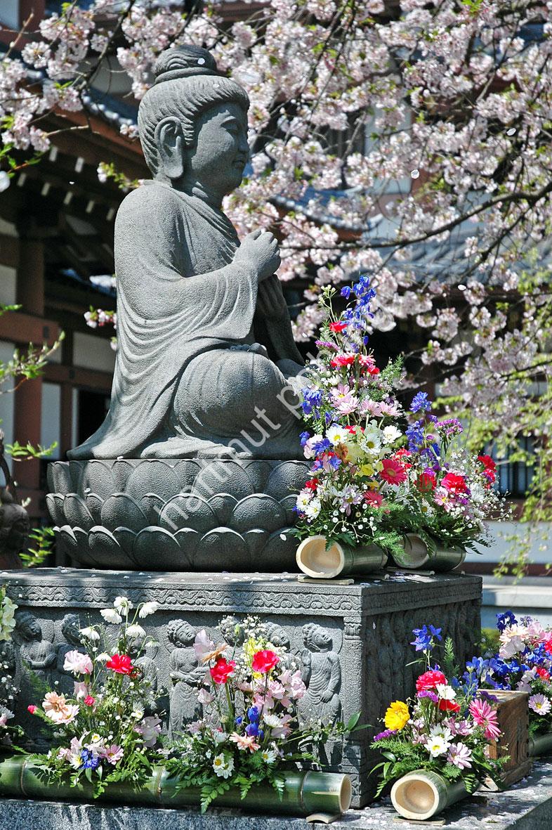 JAPANESE-TEMPLE-HASE-DERA09