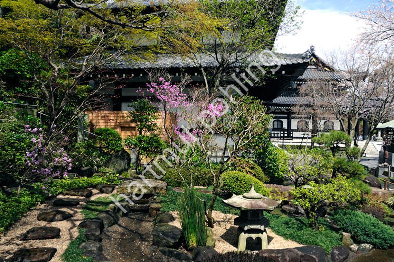 JAPANESE-TEMPLE-HASE-DERA10