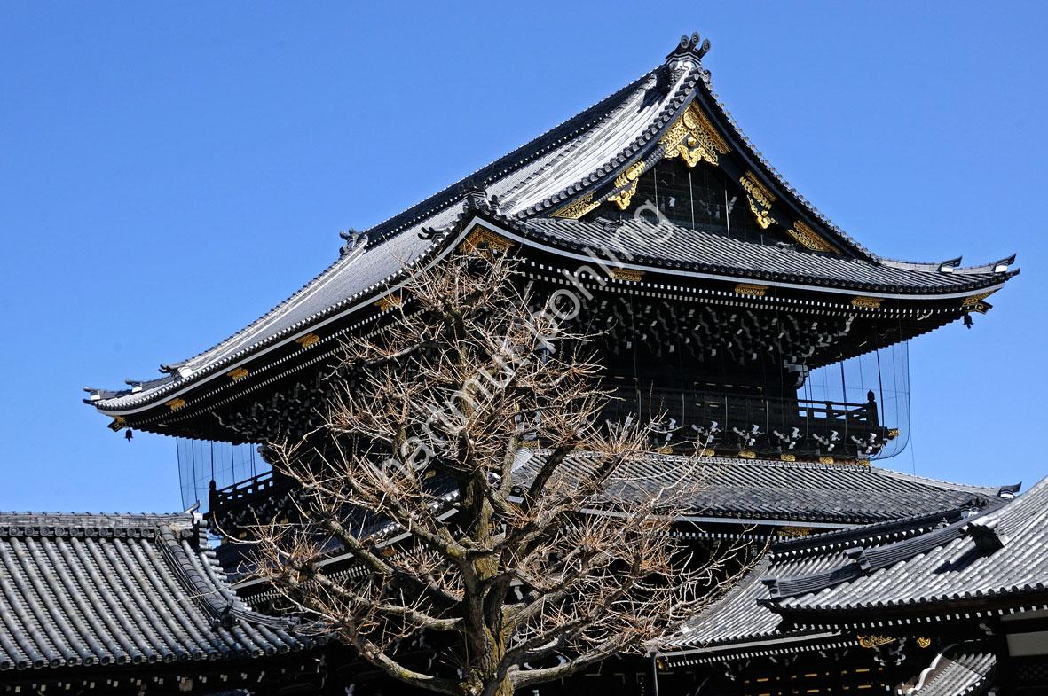 JAPANESE-TEMPLE-HIGASHI-HONGAN-JI05