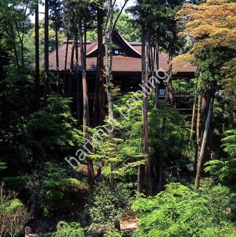 JAPANESE-TEMPLE-ISHIYAMA-DERA14