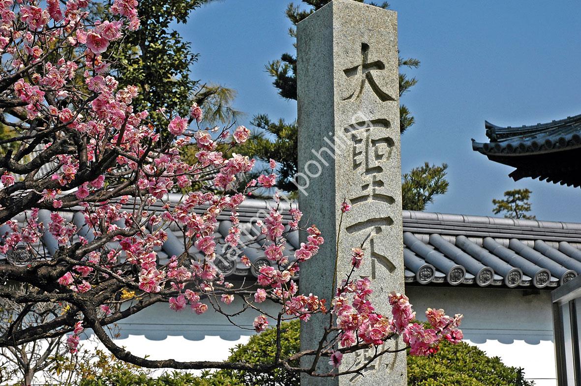 JAPANESE-TEMPLE-KENCHU-JI05