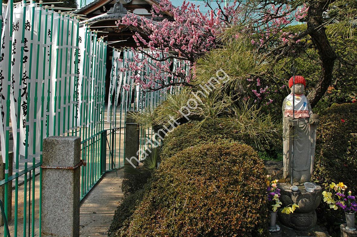 JAPANESE-TEMPLE-KENCHU-JI09