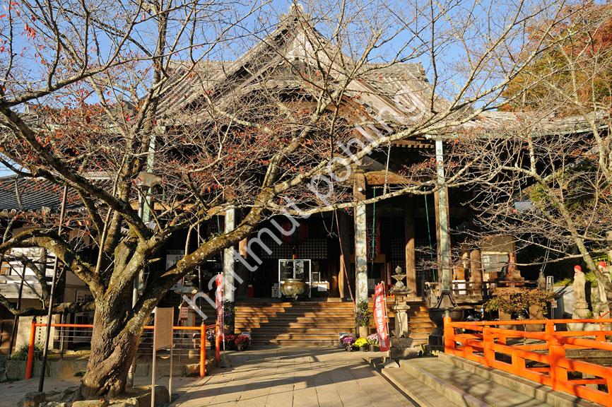 JAPANESE-TEMPLE-KIMII-DERA08