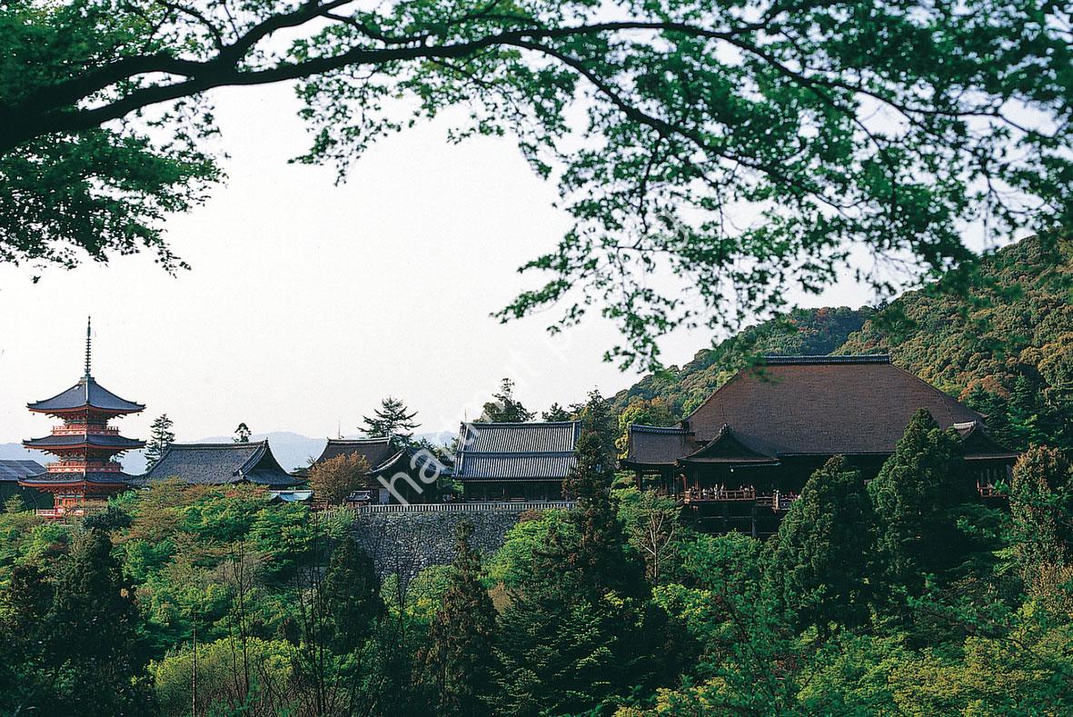 JAPANESE-TEMPLE-KIYOMIZU-DERA02