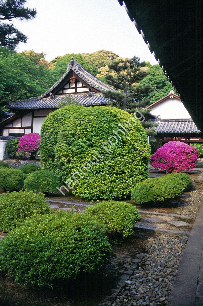 JAPANESE-TEMPLE-MANPUKU-JI-UJI16