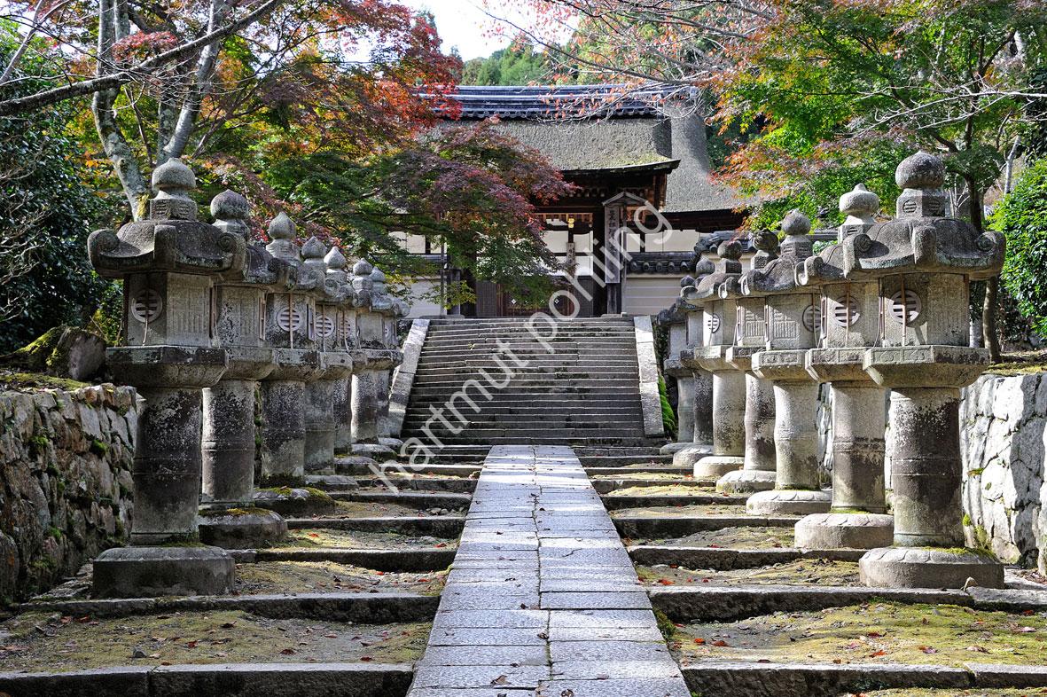 JAPANESE-TEMPLE-MII-DERA