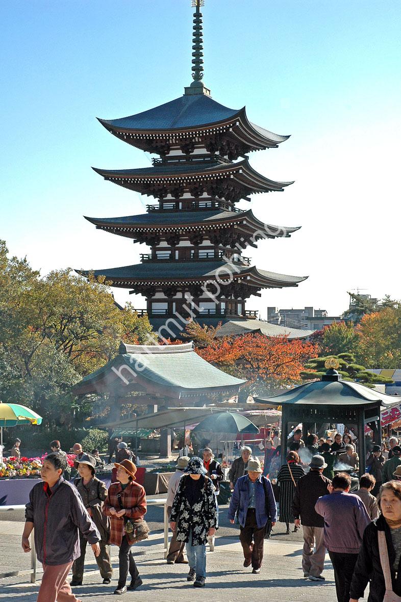 JAPANESE-TEMPLE-NITTAI-JI-PAGODE03