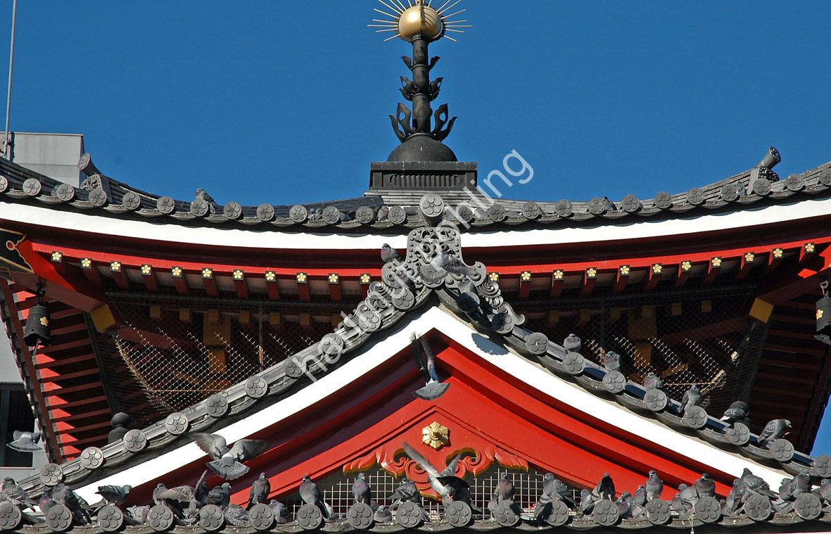 JAPANESE-TEMPLE-OSU-KANNON07