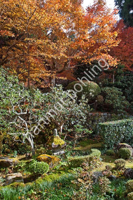 JAPANESE-TEMPLE-SANZEN-IN-OHARA-GARDEN02
