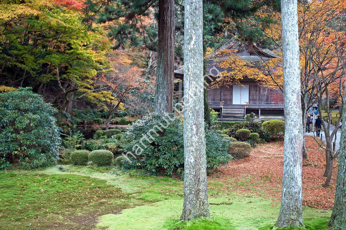 JAPANESE-TEMPLE-SANZEN-IN-OHARA11