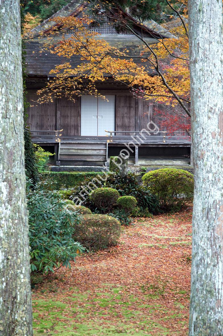 JAPANESE-TEMPLE-SANZEN-IN-OHARA12