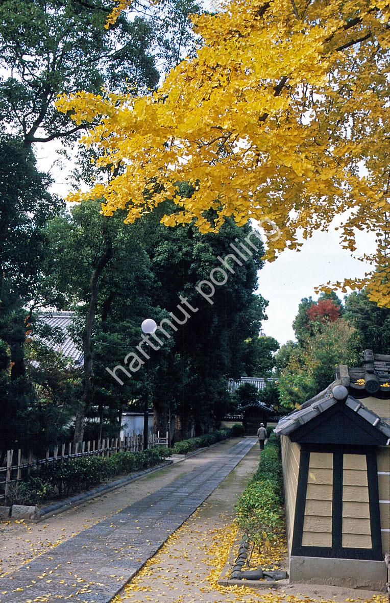 JAPANESE-TEMPLE-SHOFUKU-JI03
