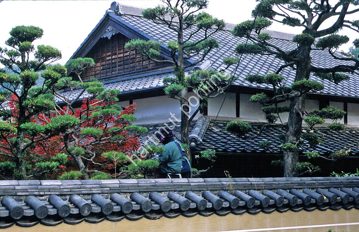 JAPANESE-TEMPLE-SHOFUKU-JI04