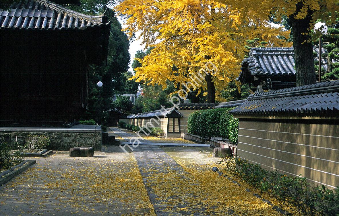 JAPANESE-TEMPLE-SHOFUKU-JI05