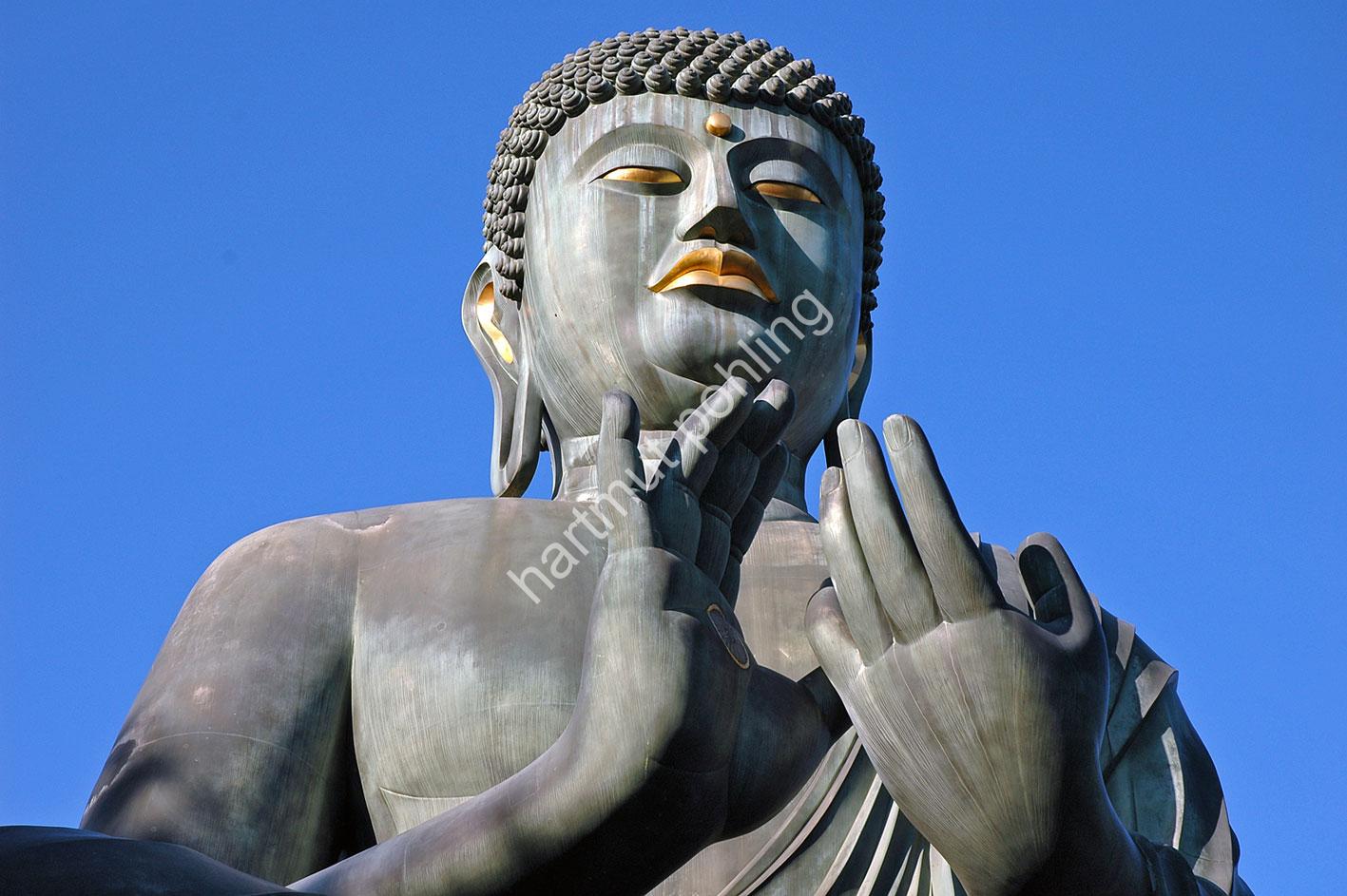 JAPANESE-TEMPLE-TOGAN-JI16