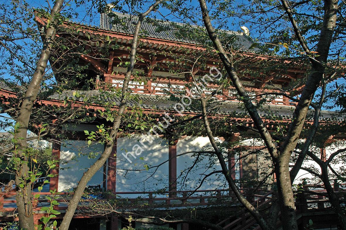 JAPANESE-TEMPLE-ZOJO-JI05