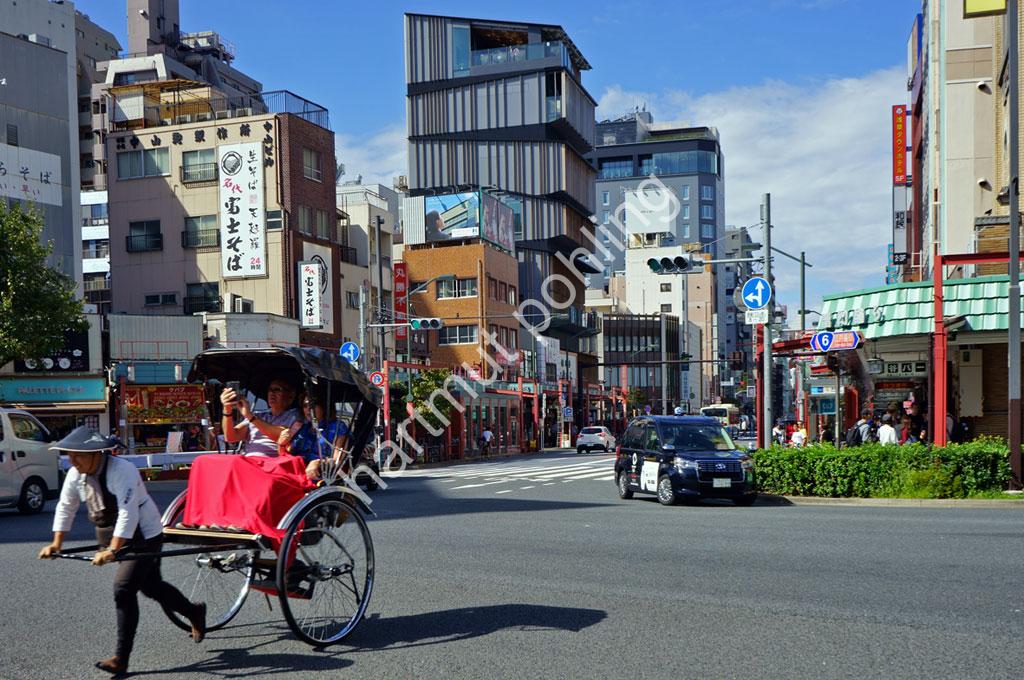 KUMA-KENGO-ASAKUSA-TOURIST-INFORMATION