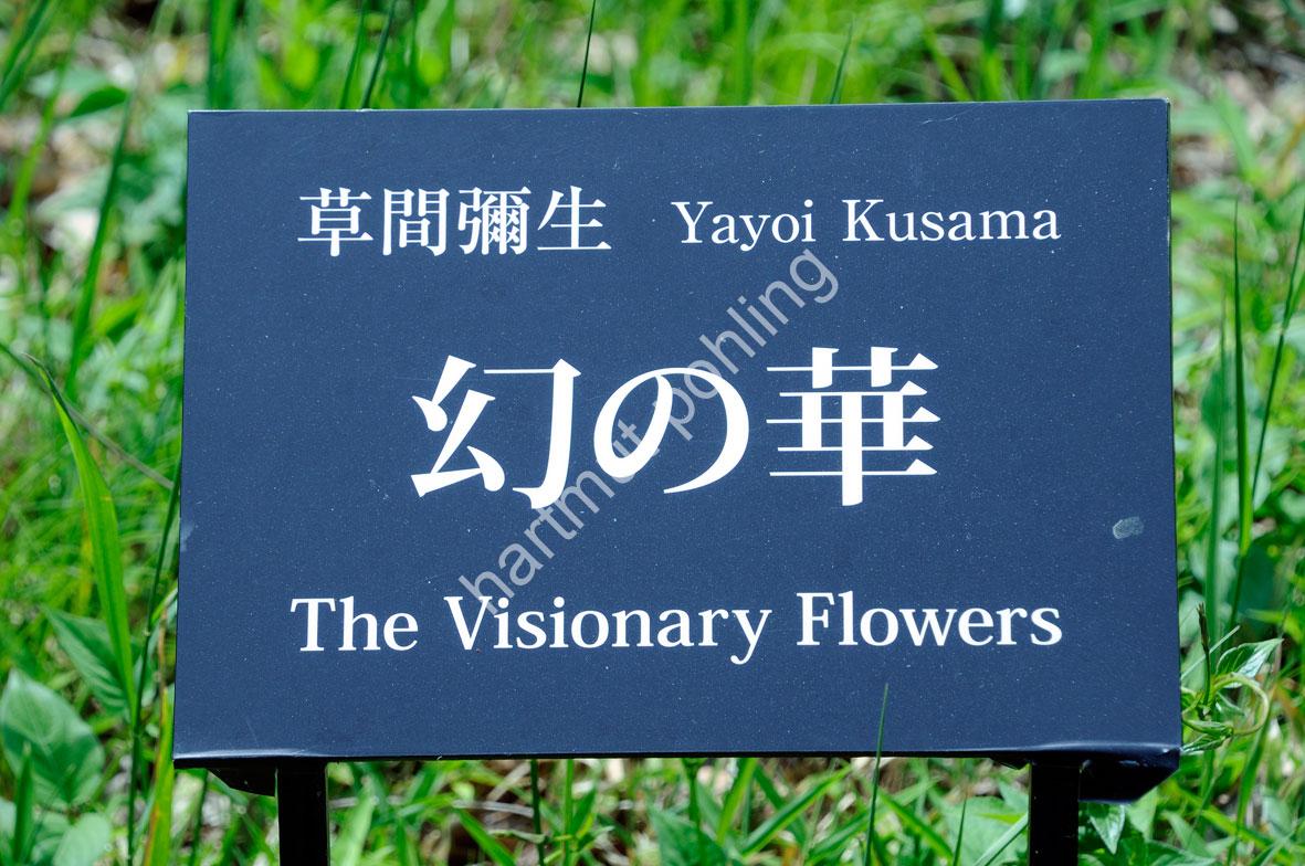 KUSAMA-YAYOI-VISIONARY-FLOWERS02