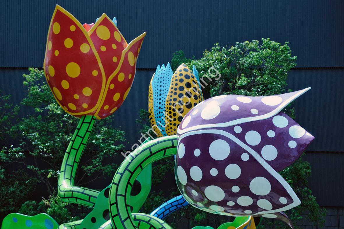 KUSAMA-YAYOI-VISIONARY-FLOWERS03