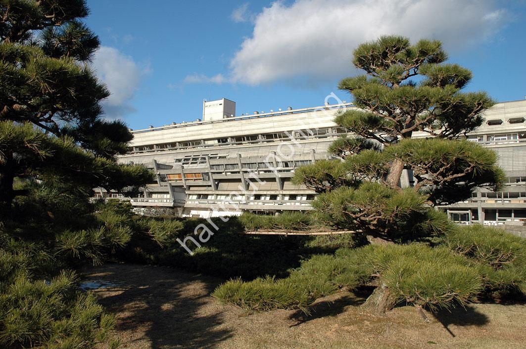 OTANI-SACHIO-ICC-KYOTO25
