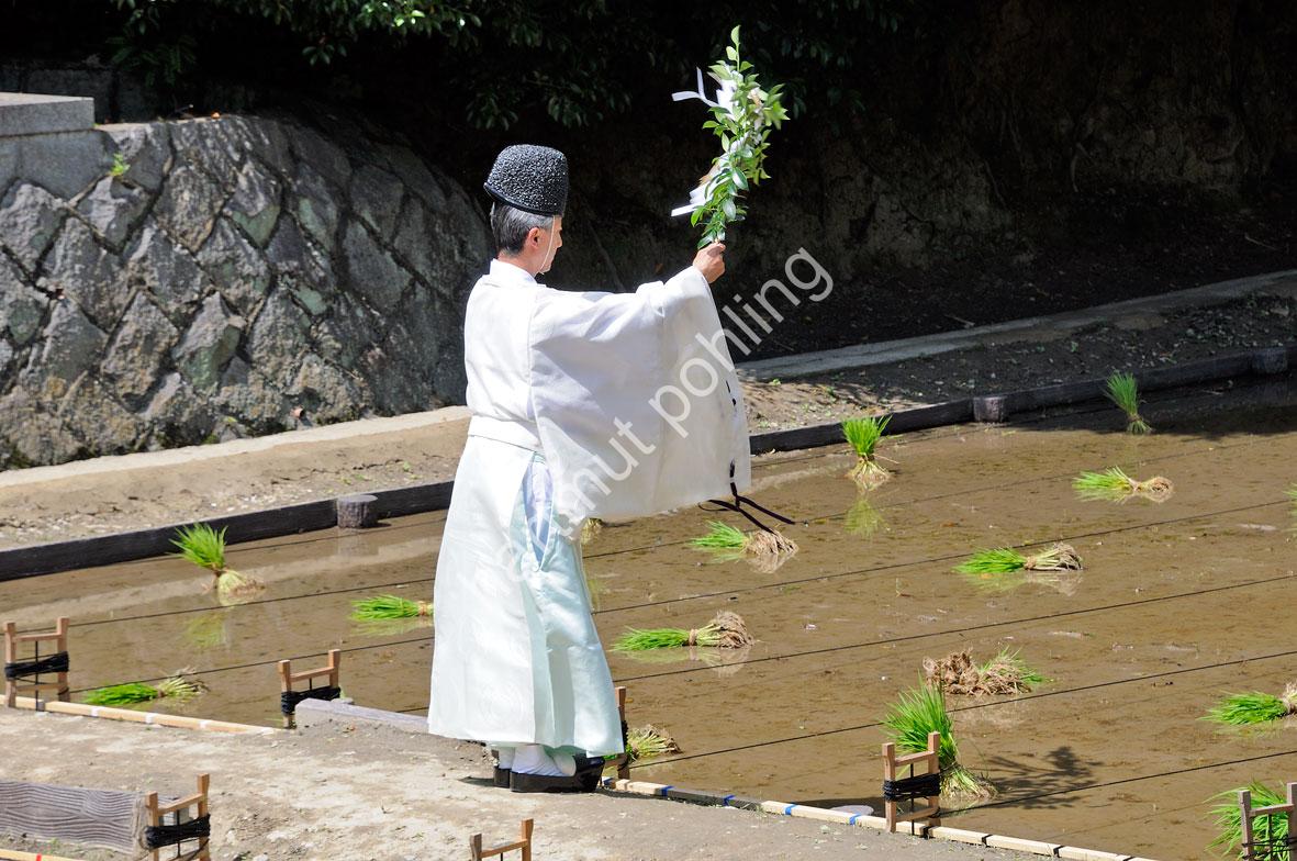 SHINTO-PRIEST-FUSHIMI-INARI-SHRINE-TAUE-SAI06