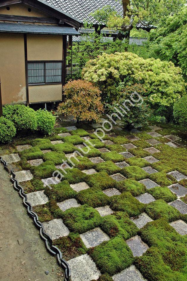 TOFUKU-JI-HOJO-HASSO-NO-NIWA17