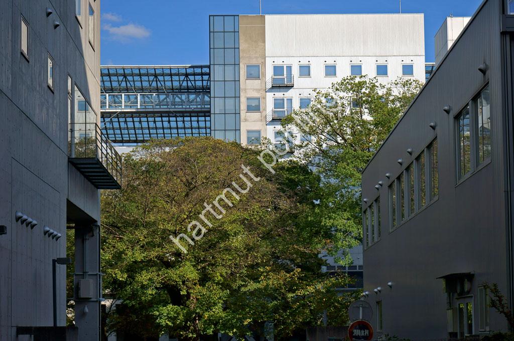 HARA-HIROSHI-TOKYO-DAIGAKU-KOMABA-CAMPUS13