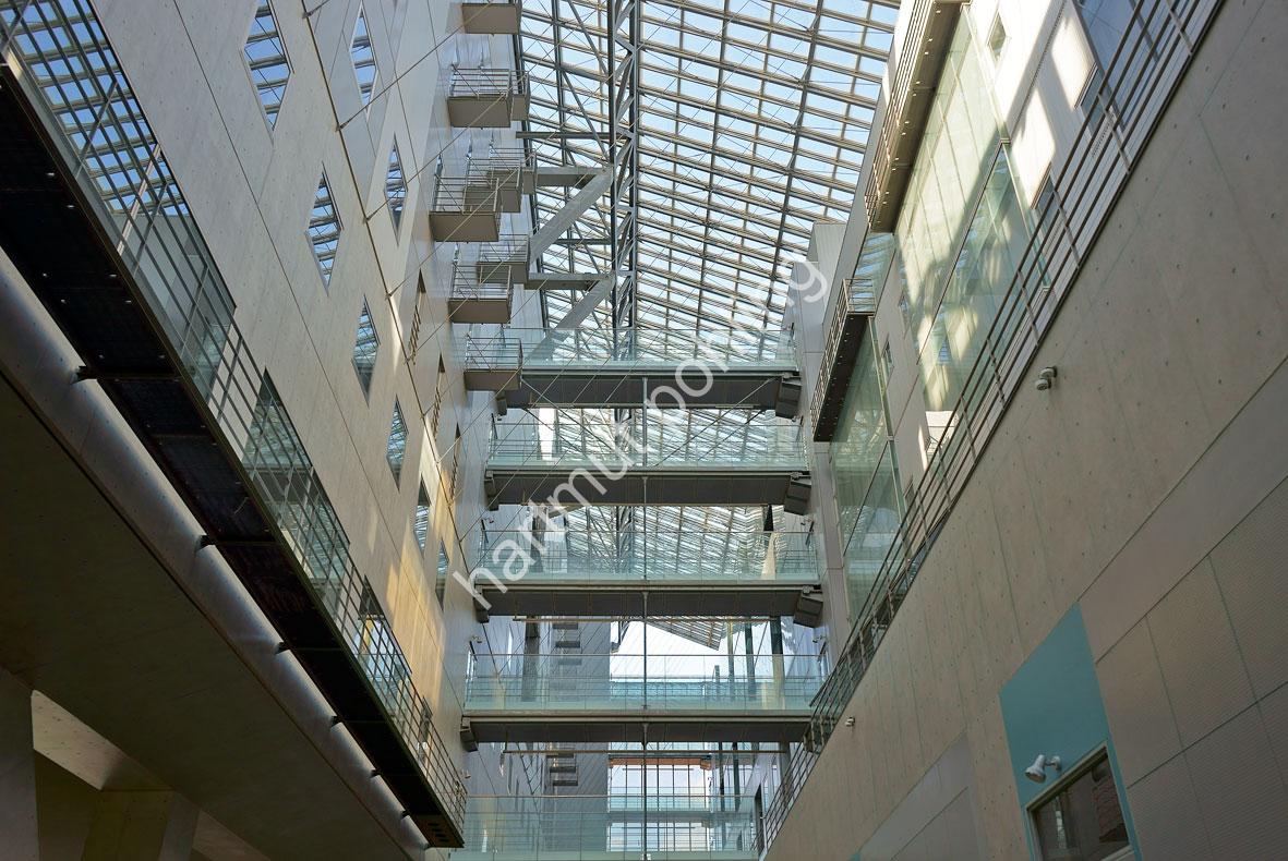 HARA-HIROSHI-TOKYO-DAIGAKU-KOMABA-CAMPUS22